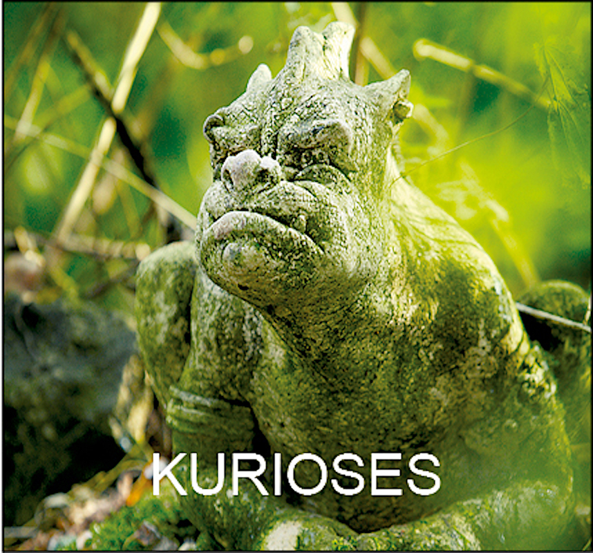 Kurioses